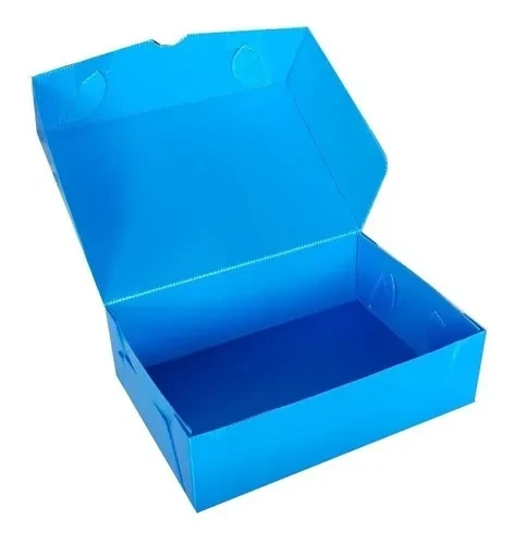 Producto 1